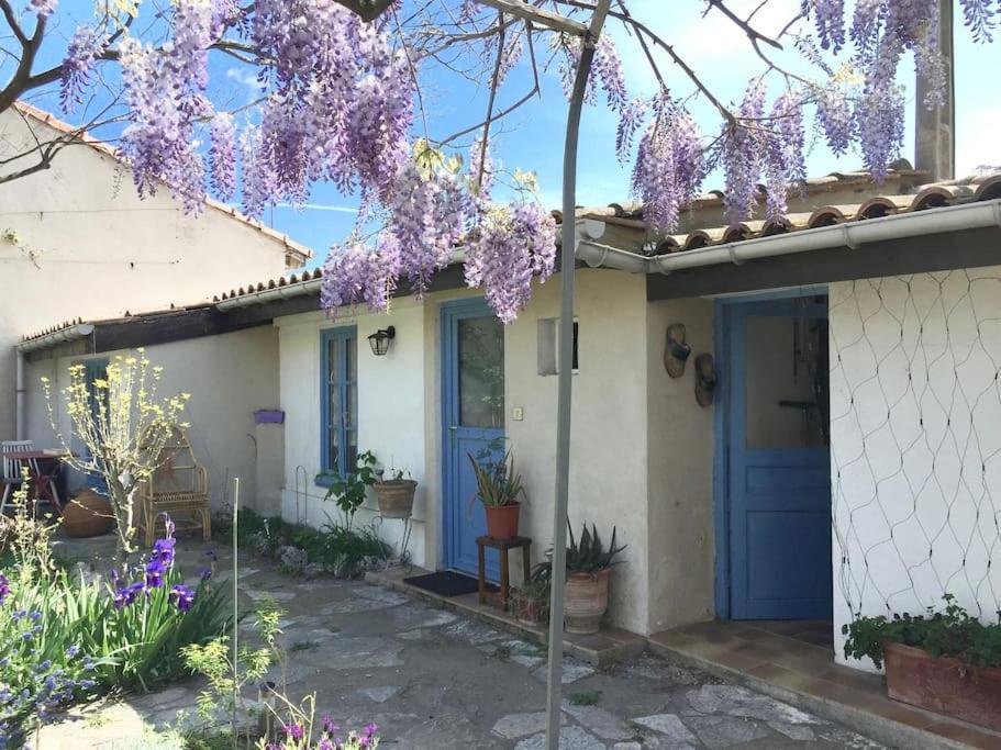La Campagne Dans La Ville Narbonne Buitenkant foto
