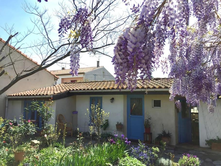 La Campagne Dans La Ville Narbonne Buitenkant foto